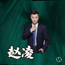 赵凌